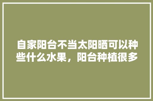 自家阳台不当太阳晒可以种些什么水果，阳台种植很多水果好吗。 自家阳台不当太阳晒可以种些什么水果，阳台种植很多水果好吗。 水果种植