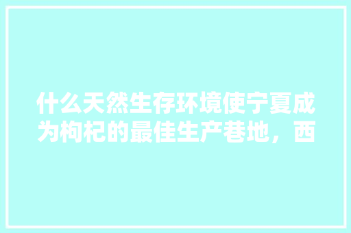 什么天然生存环境使宁夏成为枸杞的最佳生产巷地，西北水果枸杞种植基地在哪里。 什么天然生存环境使宁夏成为枸杞的最佳生产巷地，西北水果枸杞种植基地在哪里。 水果种植