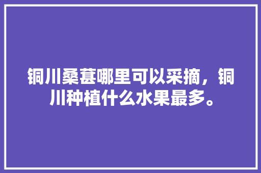 铜川桑葚哪里可以采摘，铜川种植什么水果最多。 铜川桑葚哪里可以采摘，铜川种植什么水果最多。 水果种植