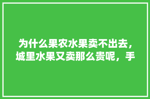 为什么果农水果卖不出去，城里水果又卖那么贵呢，手机上水果种植app。 为什么果农水果卖不出去，城里水果又卖那么贵呢，手机上水果种植app。 家禽养殖