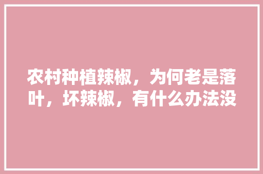 农村种植辣椒，为何老是落叶，坏辣椒，有什么办法没，种植水果辣椒的前景如何。 农村种植辣椒，为何老是落叶，坏辣椒，有什么办法没，种植水果辣椒的前景如何。 水果种植