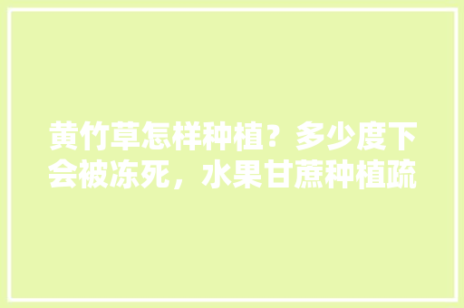 黄竹草怎样种植？多少度下会被冻死，水果甘蔗种植疏苗方法。 黄竹草怎样种植？多少度下会被冻死，水果甘蔗种植疏苗方法。 畜牧养殖