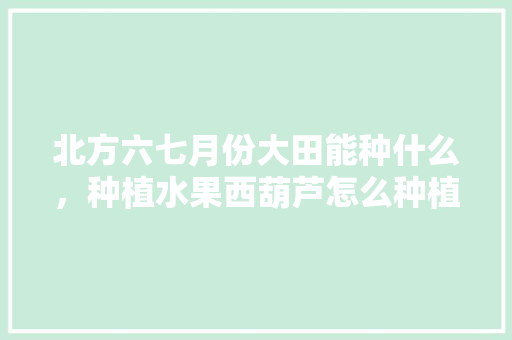 北方六七月份大田能种什么，种植水果西葫芦怎么种植的。 北方六七月份大田能种什么，种植水果西葫芦怎么种植的。 蔬菜种植