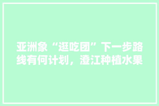 亚洲象“逛吃团”下一步路线有何计划，澄江种植水果基地。 亚洲象“逛吃团”下一步路线有何计划，澄江种植水果基地。 土壤施肥