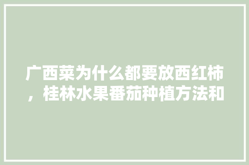 广西菜为什么都要放西红柿，桂林水果番茄种植方法和时间。 广西菜为什么都要放西红柿，桂林水果番茄种植方法和时间。 家禽养殖