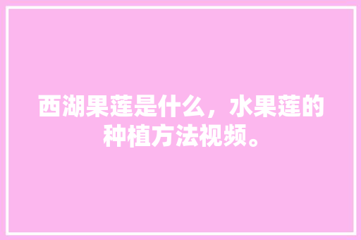 西湖果莲是什么，水果莲的种植方法视频。 西湖果莲是什么，水果莲的种植方法视频。 土壤施肥