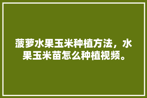 菠萝水果玉米种植方法，水果玉米苗怎么种植视频。 菠萝水果玉米种植方法，水果玉米苗怎么种植视频。 畜牧养殖