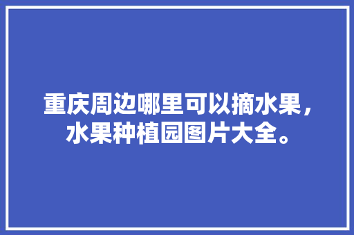 重庆周边哪里可以摘水果，水果种植园图片大全。 重庆周边哪里可以摘水果，水果种植园图片大全。 水果种植