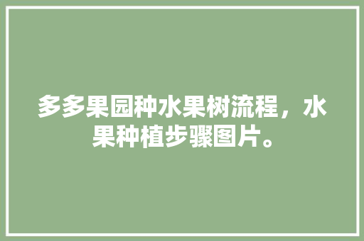 多多果园种水果树流程，水果种植步骤图片。 多多果园种水果树流程，水果种植步骤图片。 土壤施肥