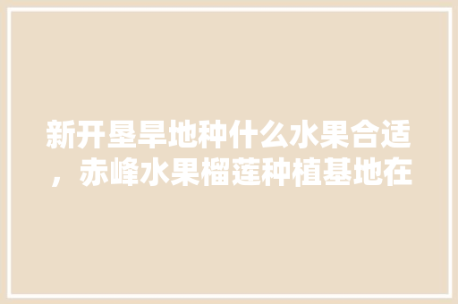 新开垦旱地种什么水果合适，赤峰水果榴莲种植基地在哪。 新开垦旱地种什么水果合适，赤峰水果榴莲种植基地在哪。 水果种植