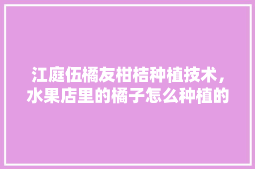 江庭伍橘友柑桔种植技术，水果店里的橘子怎么种植的。 江庭伍橘友柑桔种植技术，水果店里的橘子怎么种植的。 畜牧养殖