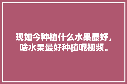 现如今种植什么水果最好，啥水果最好种植呢视频。 现如今种植什么水果最好，啥水果最好种植呢视频。 水果种植