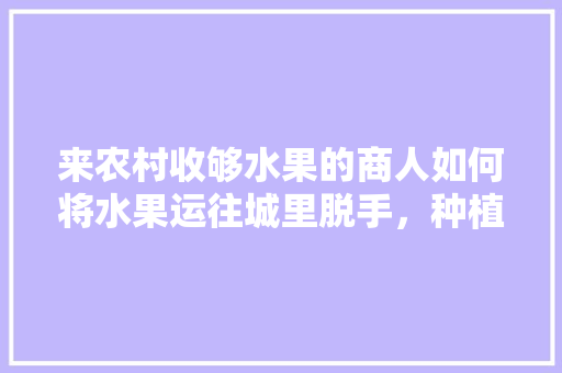 来农村收够水果的商人如何将水果运往城里脱手，种植场收水果赚钱吗。 来农村收够水果的商人如何将水果运往城里脱手，种植场收水果赚钱吗。 畜牧养殖