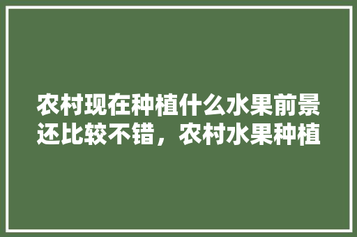 农村现在种植什么水果前景还比较不错，农村水果种植推荐品种。 农村现在种植什么水果前景还比较不错，农村水果种植推荐品种。 家禽养殖