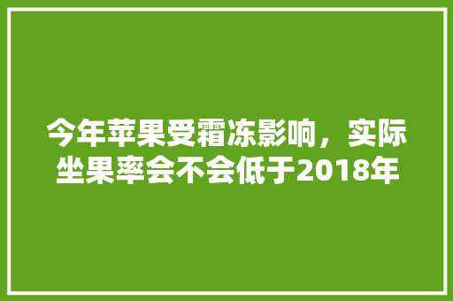 今年苹果受霜冻影响，实际坐果率会不会低于2018年？欢迎讨论，洛川李子水果种植基地在哪里。 今年苹果受霜冻影响，实际坐果率会不会低于2018年？欢迎讨论，洛川李子水果种植基地在哪里。 家禽养殖