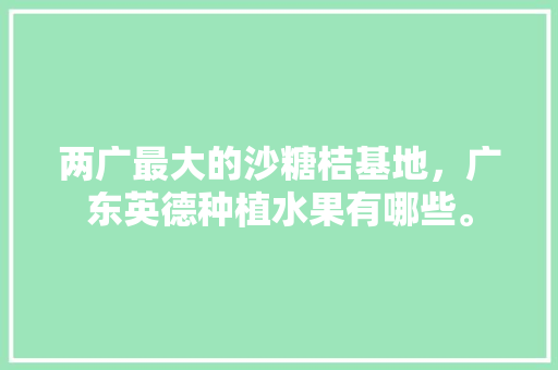 两广最大的沙糖桔基地，广东英德种植水果有哪些。 两广最大的沙糖桔基地，广东英德种植水果有哪些。 畜牧养殖