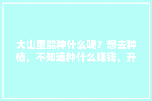 大山里能种什么呢？想去种植，不知道种什么赚钱，开荒种植什么水果好。 大山里能种什么呢？想去种植，不知道种什么赚钱，开荒种植什么水果好。 土壤施肥