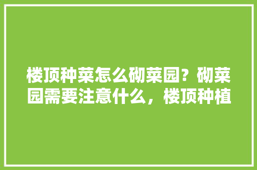 楼顶种菜怎么砌菜园？砌菜园需要注意什么，楼顶种植水果的做法视频。 楼顶种菜怎么砌菜园？砌菜园需要注意什么，楼顶种植水果的做法视频。 家禽养殖