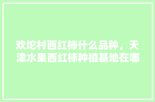 欢坨村西红柿什么品种，天津水果西红柿种植基地在哪里。 欢坨村西红柿什么品种，天津水果西红柿种植基地在哪里。 水果种植