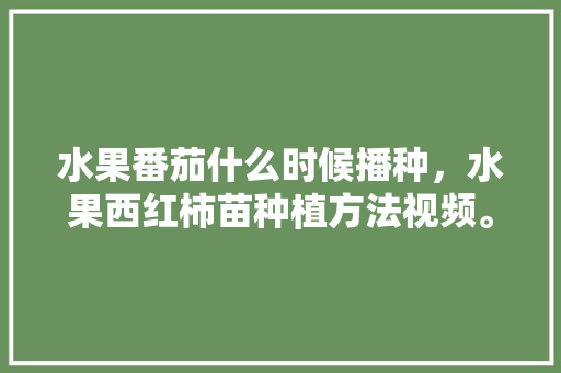 水果番茄什么时候播种，水果西红柿苗种植方法视频。 水果番茄什么时候播种，水果西红柿苗种植方法视频。 家禽养殖