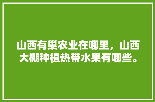 山西有巢农业在哪里，山西大棚种植热带水果有哪些。 山西有巢农业在哪里，山西大棚种植热带水果有哪些。 畜牧养殖