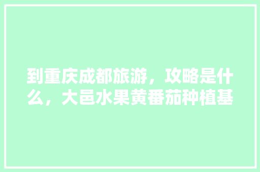 到重庆成都旅游，攻略是什么，大邑水果黄番茄种植基地。 到重庆成都旅游，攻略是什么，大邑水果黄番茄种植基地。 土壤施肥