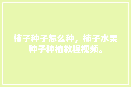 柿子种子怎么种，柿子水果种子种植教程视频。 柿子种子怎么种，柿子水果种子种植教程视频。 家禽养殖