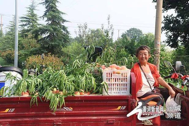 在农村搞一个三、五十亩地的水果种植园，靠谱吗？种植葡萄、桃子，后期在树下养鸡鸭，设施种植水果图片真实大全。 在农村搞一个三、五十亩地的水果种植园，靠谱吗？种植葡萄、桃子，后期在树下养鸡鸭，设施种植水果图片真实大全。 水果种植