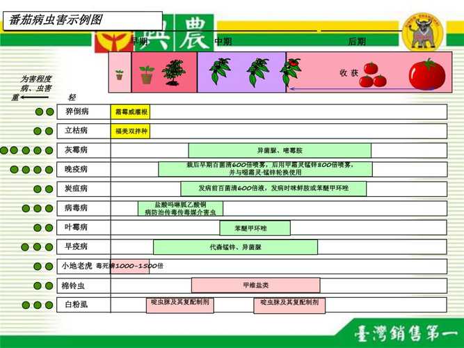 茄苗几时栽种，大田水果西红柿种植时间表。 茄苗几时栽种，大田水果西红柿种植时间表。 畜牧养殖