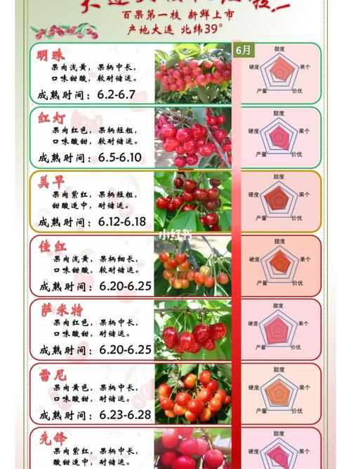 章丘樱桃什么时候采摘，章丘大棚水果种植时间表。 章丘樱桃什么时候采摘，章丘大棚水果种植时间表。 土壤施肥