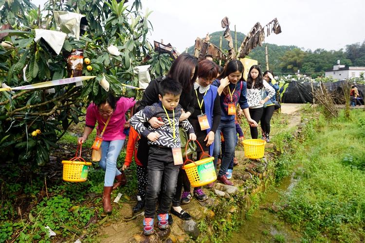 昆明周边有哪些亲子乐园，可以采摘水果，种植园摘水果图片。 昆明周边有哪些亲子乐园，可以采摘水果，种植园摘水果图片。 畜牧养殖