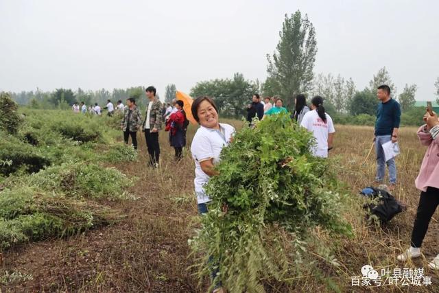 这两天叶县常村附近有巨响是怎么回事，叶县常村镇水果种植基地。 这两天叶县常村附近有巨响是怎么回事，叶县常村镇水果种植基地。 水果种植