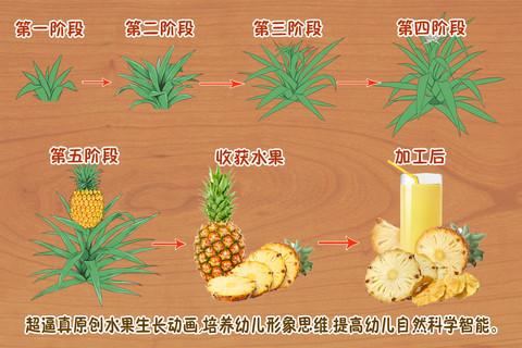 新鲜的水果种子，怎样使它发芽？…移植到土里，种水果种子种植方法视频。 新鲜的水果种子，怎样使它发芽？…移植到土里，种水果种子种植方法视频。 家禽养殖