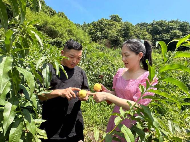 长沙宁乡有什么好吃的地方，宁乡水果种植大户名单。 长沙宁乡有什么好吃的地方，宁乡水果种植大户名单。 畜牧养殖