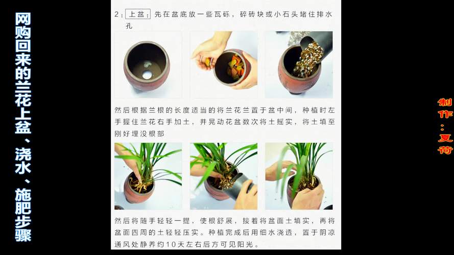 花盆土壤里怎么施肥，花盆里面的土怎么加肥料。 花盆土壤里怎么施肥，花盆里面的土怎么加肥料。 土壤施肥