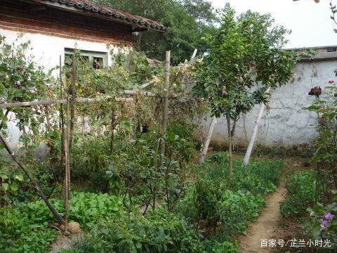 临近退休了，想租片荒山建个园子，种点果蔬，过悠闲的农耕生活，该怎样设计，山里居水果种植园。 临近退休了，想租片荒山建个园子，种点果蔬，过悠闲的农耕生活，该怎样设计，山里居水果种植园。 家禽养殖