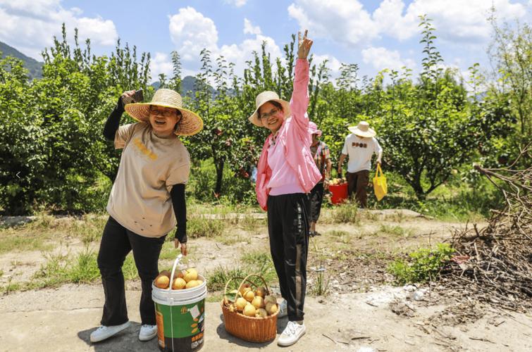 怎么运营大型水果多品种种植基地，水果种植农户。 怎么运营大型水果多品种种植基地，水果种植农户。 蔬菜种植