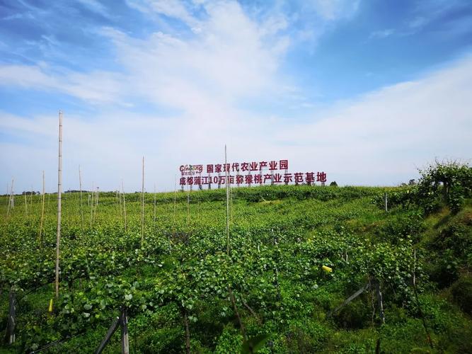 成都周边哪里有水果种植基地，水果种植基地网名大全。 成都周边哪里有水果种植基地，水果种植基地网名大全。 蔬菜种植