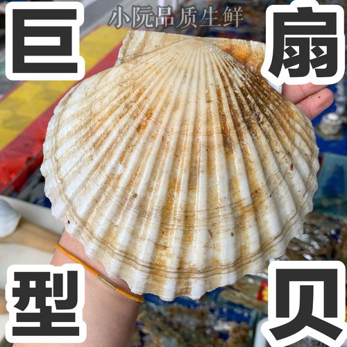 野生海鲜好吗？来自什么海域的海鲜最好，獐子岛本地水果种植时间。 野生海鲜好吗？来自什么海域的海鲜最好，獐子岛本地水果种植时间。 水果种植