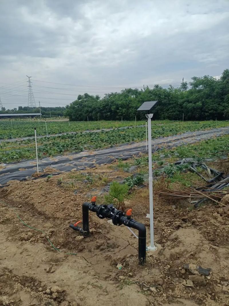 滴灌施肥对泥土
养分预测
,滴灌施肥技能
的特点与效益。 滴灌施肥对泥土
养分预测
,滴灌施肥技能
的特点与效益。 土壤施肥