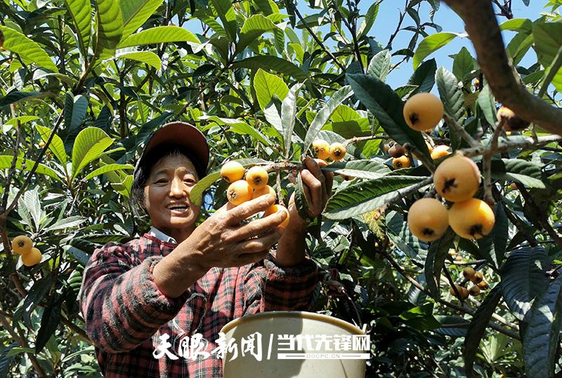 铁岭三江口镇有多少个村，铁岭农庄水果种植基地。 铁岭三江口镇有多少个村，铁岭农庄水果种植基地。 土壤施肥