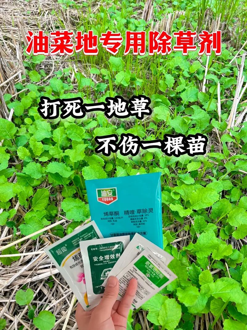 不用人工除草每次用除草剂除草的地种出的菜或水果人吃了对健康有没有伤害，。 不用人工除草每次用除草剂除草的地种出的菜或水果人吃了对健康有没有伤害，。 水果种植