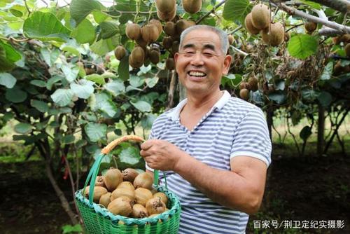 现在农村种植什么较为有前景？投资低、回本快、可快速交易的品种有哪些，有前途水果种植吗。 现在农村种植什么较为有前景？投资低、回本快、可快速交易的品种有哪些，有前途水果种植吗。 家禽养殖