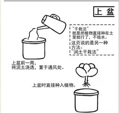 绿植土壤怎么换水施肥，绿植土壤怎么换水施肥呢。 绿植土壤怎么换水施肥，绿植土壤怎么换水施肥呢。 土壤施肥