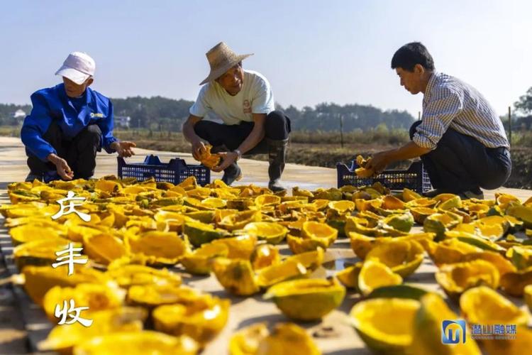 两宋百姓平常吃什么，潜山种植水果基地。 两宋百姓平常吃什么，潜山种植水果基地。 蔬菜种植