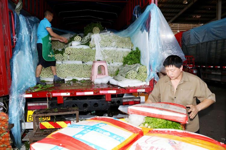 荆州沙市有哪些水果批发市场，适合湖北荆州种植水果有哪些。 荆州沙市有哪些水果批发市场，适合湖北荆州种植水果有哪些。 蔬菜种植