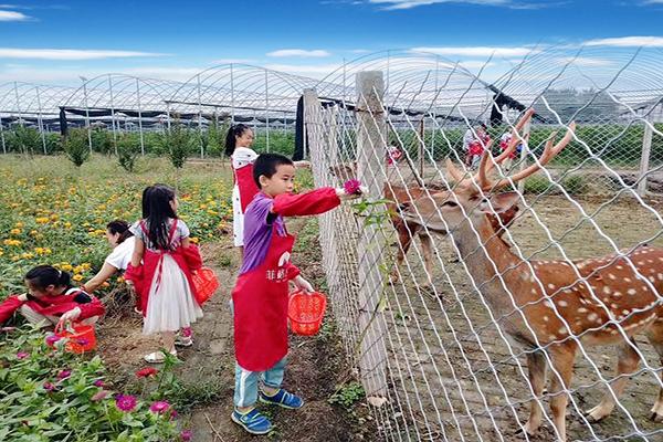 11月份杨凌附近适合孩子玩的，杨凌水果种植基地。 11月份杨凌附近适合孩子玩的，杨凌水果种植基地。 畜牧养殖