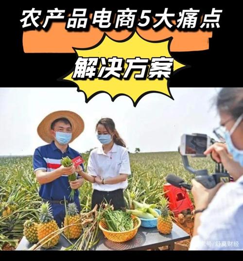 如何让来自大山深处的农产品成为“电商网红”，水果种植脚本文案怎么写。 如何让来自大山深处的农产品成为“电商网红”，水果种植脚本文案怎么写。 家禽养殖