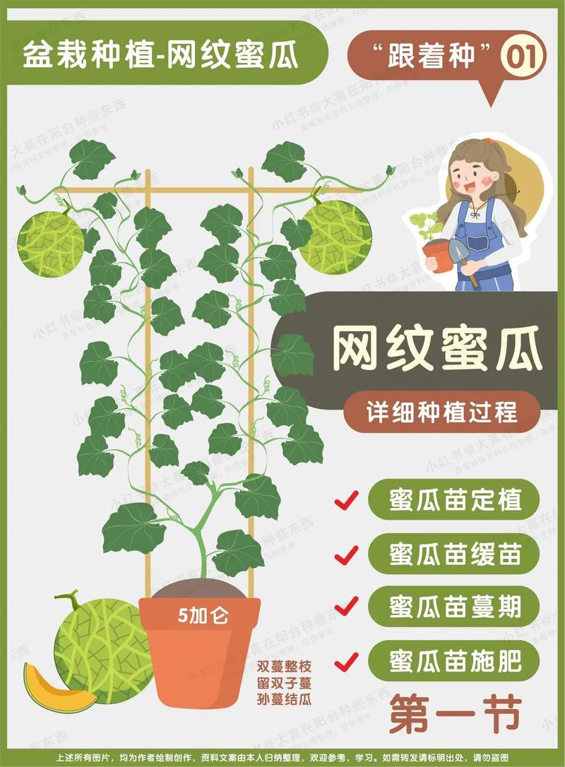 水果在家怎么种植方法，怎么种植水果黄瓜。 水果在家怎么种植方法，怎么种植水果黄瓜。 畜牧养殖