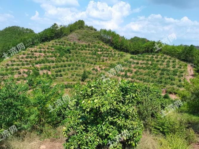 赣州的安远县相邻的县有哪些，龙南市水果种植基地。 赣州的安远县相邻的县有哪些，龙南市水果种植基地。 土壤施肥